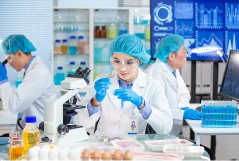 <p>İnaktif maya, adından da anlaşılacağı gibi, artık canlı olmayan, çoğalmayan ve fermantasyon özelliğini kaybetmiş bir maya çeşididir. Genellikle Saccharomyces cerevisiae türünden elde edilir. Bu durum onu değersiz kılmaz; tam tersine, içerdiği kaliteli proteinler, amino asitler ve B grubu vitaminler sayesinde hayvan beslenmesinde oldukça kıymetli bir bileşen haline gelmiştir.Canlı mayalar bağırsak florasını düzenlemek ve sindirimi desteklemek gibi biyolojik işlevlerde kullanılırken, inaktif mayalar doğrudan besin kaynağı olarak değerlendirilir. Fermantasyon yapmazlar ve metabolik faaliyet göstermezler. Bu sayede yem formülasyonlarına rahatlıkla dahil edilebilirler.İnaktif maya, önce uygun koşullarda çoğaltılır. Ardından belli sıcaklık ve nem koşullarında kurutularak canlılığını kaybeder. Bu yöntem, içerdiği protein ve vitaminlerin zarar görmeden korunmasına yardımcı olur. Ortaya çıkan ürün toz, granül veya pelet halinde sunulur. Başlıca kullanım alanı hayvan yemi sektörüdür. Bunun dışında organik gübre üretimi, biyoteknoloji araştırmaları ve bazı gıda katkılarında da yer alırİnaktif maya sadece protein yönünden değil, aynı zamanda esansiyel amino asitler, B kompleks vitaminleri ve mineraller açısından da oldukça zengindir. Bu özelliğiyle, pek çok yem hammaddesine göre daha besleyici bir yapı sunar.Genellikle %40-45 arasında ham protein içerir. Bu oran, bazı balık unu ve bitkisel protein kaynaklarına oldukça yakındır. Ayrıca, bu proteinin sindirilebilirliği ve biyolojik değeri de yüksektir.Lizin, metiyonin ve treonin gibi hayvanlar için gerekli olan amino asitler açısından zengindir. Bu amino asitler, hayvanların büyümesi, kas gelişimi ve bağışıklık sistemi açısından büyük önem taşır.İnaktif mayada B1 (tiamin), B2 (riboflavin), B3 (niasin) ve B12 vitaminleri bol miktarda bulunur. Aynı zamanda çinko, selenyum ve fosfor gibi temel mineraller açısından da zengin bir kaynaktır.İnaktif maya, farklı hayvan türleri için rasyonlarda oldukça değerli bir katkıdır. Özellikle yüksek protein içeriği, kolay sindirilebilir yapısı ve bağışıklık destekleyici etkileriyle hayvan performansını artırma potansiyeline sahiptir.Ruminantlar (örneğin inek, koyun ve keçiler), mikrobiyal fermentasyona dayalı sindirim sistemine sahiptir. İnaktif maya, bu hayvanlarda rumen mikrobiyotasını etkileyen özellik göstermez, çünkü aktif yani canlı değildir. Öte yandan, yüksek kaliteli protein ve vitamin kaynağı olarak rasyona dahil edildiğinde süt veriminde ve canlı ağırlık artışında önemli katkılar sağlar. Ayrıca, rumen protein dengesinin sağlanmasına da yardımcı olur.Tavuk, hindi ve ördek gibi kanatlı hayvanlar için inaktif maya, sindirim sistemi sağlığını desteklerken aynı zamanda yumurta kalitesinde artış, tüy yapısında iyileşme ve günlük canlı ağırlık artışında hızlanma sağlar. Özellikle etlik piliçlerde, inaktif maya içeren yemlerle beslenen gruplarda yemden yararlanma oranının yükseldiği gözlemlenmiştir.Balıklar ve kabuklular gibi su ürünlerinde inaktif maya kullanımı, bağışıklık sistemi üzerinde pozitif etki gösterir. Özellikle stres faktörlerine (su sıcaklığı değişimi, taşıma gibi) karşı direnç geliştirilmesine yardımcı olur. Aynı zamanda yem tüketim iştahını artırarak, büyüme performansını olumlu yönde etkiler.İnaktif maya, hayvansal ve bitkisel protein kaynaklarına alternatif olarak değerlendirilen yüksek biyoyararlanıma sahip bir protein kaynağıdır.Hayvan beslemesinde en önemli parametrelerden biri, verilen proteinin sindirilebilirliğidir. İnaktif maya proteini, hayvanın ihtiyaç duyduğu azotun büyük kısmını karşılayabilir, çünkü mide ve bağırsakta kolaylıkla parçalanır. Bu da, hayvanın daha az yemle daha fazla verim sağlamasını mümkün kılar.İnaktif maya, soya küspesi, balık unu, kanatlı yan ürün unları gibi yaygın protein kaynaklarına göre bazı önemli avantajlar sunar:
• GDO riski taşımaz. • Aflatoksin ve diğer mikotoksin riskleri düşüktür.
• Sabit kalite standardı sağlar (endüstriyel üretim kontrolü sayesinde).
• Bitkisel proteinlere göre daha fazla esansiyel amino asit içerir.İnaktif mayanın yem sektöründeki kullanımı yalnızca besin değeriyle sınırlı değildir. Aynı zamanda ekonomik, fizyolojik ve çevresel birçok fayda da sunar.İnaktif maya sağladığı verim artışı ve hastalık oranlarında azalma sayesinde yem başına maliyeti düşürür. Birçok çiftlikte yapılan saha uygulamaları, maya kullanılan gruplarda %8-12 arasında daha fazla canlı ağırlık elde edildiğini göstermektedir.İnaktif maya, içerdiği β-glukan, mannan-oligosakkarit (MOS) gibi biyoaktif bileşenlerle bağışıklık sistemini destekler. Bu maddeler, bağırsakta patojenlerin tutunmasını engelleyerek daha az antibiyotik kullanımına olanak tanır.
Ancak bu bileşenler etikete yazılmaz, miktarını vermek ise tüketiciyi yanıltma girişimidir. Kullanıcılar bu noktaya dikkat etmelidir.Bağırsak florası dengesinin korunması, yemden alınan besinlerin emilimini doğrudan etkiler. İnaktif maya, bağırsak hücre duvarlarını güçlendirir, ishal sıklığını azaltır ve yemden yararlanmayı artırır.Tüm yem katkılarda olduğu gibi inaktif mayadan en yüksek faydayı elde edebilmek için kullanımında bazı noktalara dikkat etmek gereklidir.İnaktif mayanın etkili olabilmesi için genellikle 1-3 kg/ton yem aralığında kullanılması önerilir. Ancak bu oran, hayvan türüne, yaşına ve genel rasyon yapısına göre değişebilir.Yüksek sıcaklık ve nem, mayanın bozulmasına neden olabilir. Bu nedenle serin ve kuru ortamlarda, ağzı kapalı ambalajlarda saklanmalıdır. Sıcak ve nemli ortamda havadan veya diğer tahıllardan bulaşacak mikotoksinler üremek için iyi bir besin ve ortam bulmuş olurlar. Bu nedenle açılmış ürünler kısa sürede tüketilmelidir.Aşırı doz kullanımı, rasyonun protein dengesini bozabilir veya yem tüketiminde düşüşe neden olabilir. Ayrıca, düşük kaliteli maya ürünleri anti-besleyici özellik gösterebilir. Bu nedenle güvenilir tedarikçilerden temin edilmelidir.İnaktif maya, yem formülasyonlarında besin değerini yükseltmek, bağışıklığı desteklemek ve hayvan performansını artırmak için kullanılır. Ancak etkili bir sonuç alabilmek için doğru formülasyon şarttır. Aşağıda bazı hayvan türlerine göre önerilen inaktif maya kullanım oranlarıyla örnek rasyon planları yer almaktadır:</p> Hayvan Türü İnaktif Maya Dozu
Kullanım Amaçları Etlik Piliç
2 kg/ton yem
Büyüme, yemden yararlanma Süt İneği
1.5 kg/ton yem
Süt verimi, bağışıklık Koyun/Keçi
1 kg/ton yem
Sindirim desteği, kilo artışı Alabalık
2.5 kg/ton yem
Bağışıklık, stres dayanımı <p>Not : Tablo inaktif mayanın güvenle rasyonuna katılabileceği ve besleyeceği diğer hayvan türlerini eksik bırakmıştır.Rasyon hazırlanırken inaktif mayanın protein ve enerji katkısı da hesaba katılmalıdır. Örneğin, %50 protein içeren bir maya ürünü, 100 gram katkıyla 50 gram ham protein sağlar. Bu durum, soya küspesi gibi diğer kaynakların oranını azaltarak yem maliyetini optimize edebilir.Yem formülasyonlarında kullanılan inaktif maya partileri, içerik bakımından farklılık gösterebilir. Bu nedenle partiler arası değişkenliği azaltmak için nem oranı, ham protein, kül ve lif analizleri yapılmalıdır.İnaktif maya yalnızca hayvanlar için değil, çevre ve tarımsal üretim sistemi açısından da olumlu sonuçlar doğurur.Maya üretimi, genellikle melas gibi endüstriyel yan ürünlerin değerlendirilmesiyle yapılır. Bu sayede atık değerlendirme sağlanırken, protein kaynağı oluşturulur. Bu da çevre dostu yem üretimini destekler.Hayvanlarda sindirimi kolay olan maya proteini, dışkıda daha az aminoasit anlamına gelir. Bu da özellikle yoğun üretim yapılan çiftliklerde amonyak ve nitrojen salınımının azalması ile çevreye olan olumsuz etkileri en aza indirir.Daha sağlıklı ve daha hızlı büyüyen hayvanlar, daha kısa sürede kesim ağırlığına ulaşır. Bu durum, daha az yemle daha fazla ürün elde edilmesini sağlar ve yem tüketim verimliliğini artırır.Bilimsel araştırmalar, inaktif maya proteininin yüksek biyoyararlanıma sahip olduğunu ve hayvanlarda sindirim sistemine zarar vermeden emildiğini göstermiştir. Özellikle kanatlılar üzerinde yapılan çalışmalarda, maya katkılı yemlerle beslenen gruplarda daha yüksek günlük canlı ağırlık artışı kaydedilmiştir.Farklı araştırmalarda, inaktif maya kullanılan rasyonlarla beslenen hayvanların bağışıklık sisteminin güçlendiği, ölüm oranlarının azaldığı ve yemden yararlanma oranlarının iyileştiği rapor edilmiştir. Bu veriler, maya katkısının yalnızca besin değeriyle değil, aynı zamanda sağlık yönünden de önemli olduğunu ortaya koyar. Bazı üreticiler inaktif mayanın kalıntı içerdiğini düşünebilir. Ancak bu ürünler canlı olmadığı ve antibiyotik içermediği için gıda güvenliği açısından risk oluşturmaz.İnaktif mayanın genetik yapıyı değiştirdiğine dair yanlış bilgiler mevcuttur. Bu ürün GDO içermez, genetik olarak canlı olmadığı için canlı organizmalarla etkileşime girmez. Ayrıca mayanın ürediği ortamda canlılarda genetik değişime neden olacak kimyasallar bulunmaz. Bu nedenle ne mayanın, ne de onu tüketen canlının genetiğinde herhangi bir değişim meydana gelmez.Maya hücresinin içinde ve hücre duvarında çok değerli organik bileşenler vardır. Endüstride bazı yöntemlerde hücre parçalanmakta ve tükettiğimiz bir çok gıdaya lezzet arttırıcı olarak eklenmektedir. Ancak inaktif mayada böyle bir durum söz konusu değildir. Bu nedenle bir inaktif mayanın β-glukan, (MOS) ve chitin miktarını belirtmek yanılma payı yüksek tahmini bir değeri gerçekmiş gibi vererek tüketiciyi yanıltmaktır.Laboratuvarlarda yapılan protein analizlerinde Kjeldahl yöntemi en yaygınıdır ve bileşenin içindeki azot miktarını tespit edip bir katsayı ile çarpar. Yöntem, azotun amino asit zinciri (protein), üre ya da başka bir azot bileşeni kaynaklı olup olmadığını ayıramaz. Bu nedenle bazı üreticiler nihai ürüne üre katabilmekte veya üretimden geçmesinee göz yummaktadır. Bu durumda protein değeri yüksekmiş gibi gözükmekle birlikte hayvana üre de verilmektedir.İnaktif maya alırken dikkat edilmesi gereken pek çok kriter vardır. Doğru ürün, hayvan performansını yükseltirken, yanlış tercihler ekonomik kayıplara yol açabilir.Kaliteli bir inaktif maya ürünü şu özellikleri taşımalıdır:
• Yüksek protein oranı (%40 ve üzeri)
• Düşük nem oranı (%10’un altında)
• Aflatoksin içermemesi
• Üretiminde üre kullanılmamış olması
• Serbest akışlı granül yapısı
• Yoğun maya kokusu (bayat ya da ekşi kokular olmamalı)
Bu özellikler, ürünün hem besin değeri hem de saklama ömrü açısından uygun olduğunu gösterir.Yerli ve uluslararası pazarda birçok üretici bulunmakla birlikte, güvenilir tedarikçiler genellikle:
• Ürün analiz sertifikası sunar.
• Parti bazlı laboratuvar sonuçlarını paylaşır.
• GDO’suz ve antibiyotiksiz üretim garantisi verir.
• Organik sertifikaya sahip olabilir.
Tarım ve Orman Bakanlığı onayı bulunan firmalar tercih edilmelidir. Ürün etiketi üzerinde Tescil Numarası ve Gıda Sicil Numarası aranmalıdır.Ucuz ürün her zaman ekonomik değildir. Protein oranı düşük olan veya sindirimi zor maya ürünleri, yemden alınan faydayı düşürerek hayvan performansını olumsuz etkileyebilir. Bu nedenle ürünün sadece fiyatına değil, içerdiği besin değerine göre kg başı maliyetine bakılmalıdır.Hayır, inaktif maya canlı değildir. Isı ve kurutma işlemleriyle fermantasyon yetisini kaybetmiştir.Genellikle 1–3 kg/ton yem arası önerilir. Hayvan türüne göre oran değişebilir.Evet, inaktif maya yüksek protein içerdiği için alternatif protein kaynağı olarak kullanılabilir.Hayır, inaktif maya yalnızca hayvan yemi katkısıdır. Doğrudan insan tüketimi için değildir ama toksik değildir.Eğer GDO içermiyor ve organik sertifikası varsa, organik yem formülasyonlarına dahil edilebilir.Güvenilir üreticilerden alınan maya ürünleri GDO içermez. Sertifika ile bu durum belgelendirilebilir.İnaktif maya, hayvancılıkta ekonomik ve fonksiyonel katkı sağlayan çok yönlü bir yem bileşenidir. İçerdiği yüksek kaliteli protein, vitaminler ve prebiyotik etki gösteren bileşenler sayesinde hem hayvan sağlığını destekler hem de yemden alınan verimi artırır.• Rasyonlara kontrollü dozlarda eklenmeli
• Yüksek kaliteli ürünler tercih edilmeli
• Hayvan türüne uygun formülasyonlarla kullanılmalı• Özellikle büyüme ve stres dönemlerinde kullanılmalı
• Yem firmalarıyla iş birliği yapılarak laboratuvar analizleri yapılmalı
• Düzenli performans takibiyle etkileri değerlendirilmelidir</p>